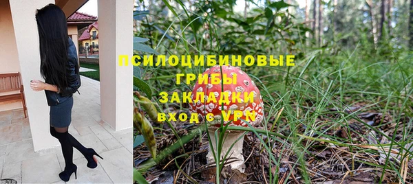 скорость Алзамай